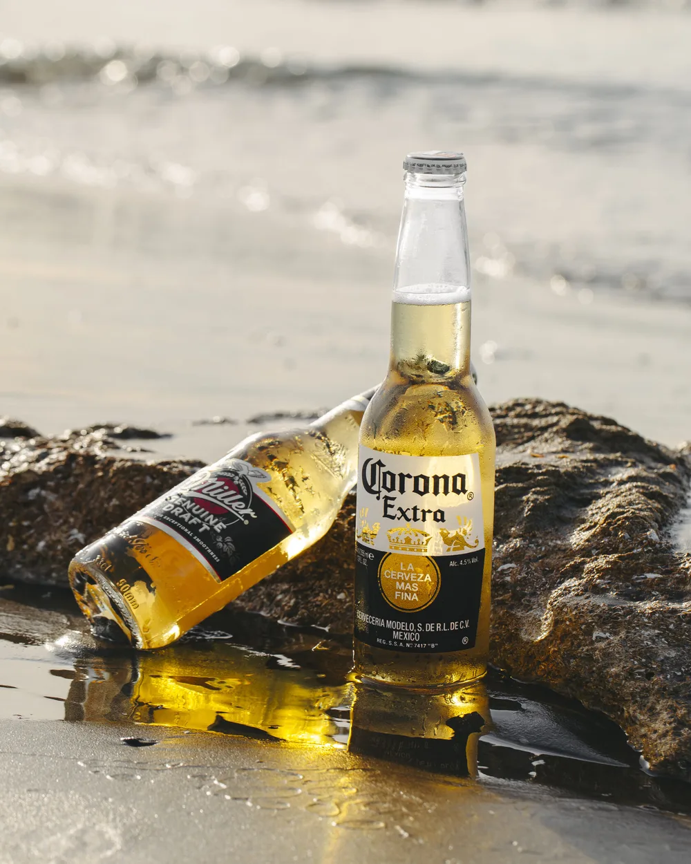 שני בקבוקי Corona על סלע ליד המים